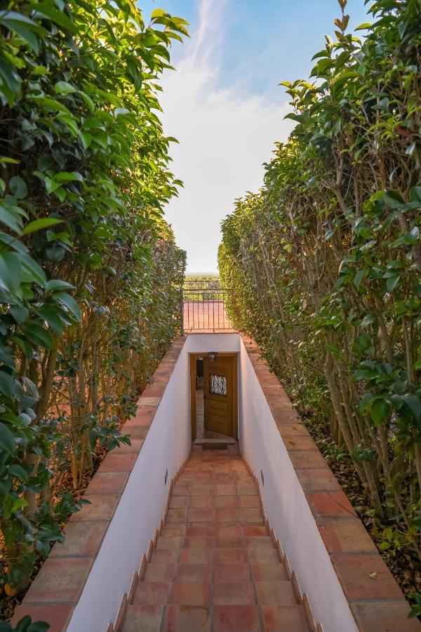 A Serenada Enoturismo Grândola Extérieur photo