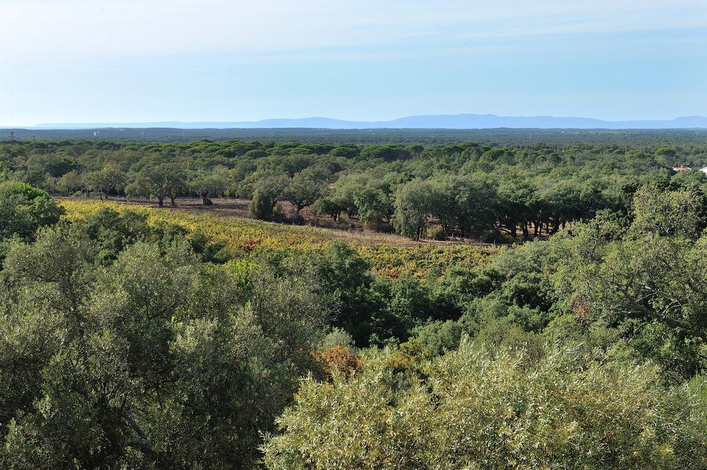 A Serenada Enoturismo Grândola Extérieur photo